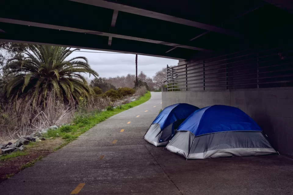Two blue and white tents on a paved bike trail under an overpass in San Diego, California with palm tree and vegetation on one side